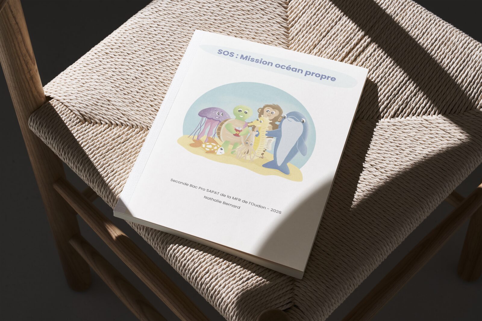 Mockup - Bande dessiné MFR